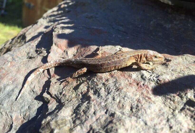 호스텔 The Sandrock Lynton