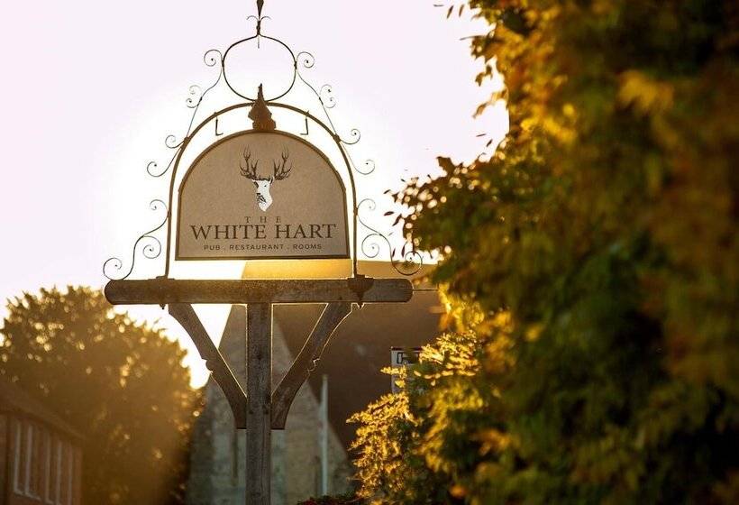 הוסטל The White Hart, South Harting