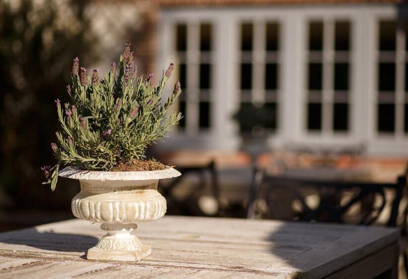 הוסטל The White Hart, South Harting