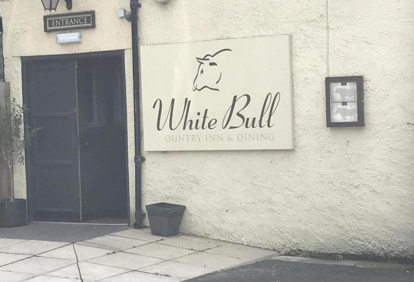 ユースホステル The White Bull Country Inn & Dining