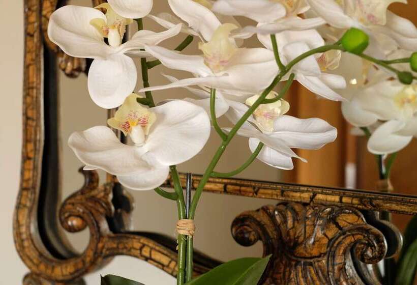 ベッドアンドブレックファースト The Queens At Horton