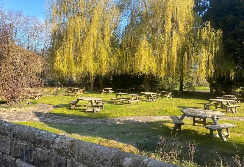 تختخواب و صبحانه The Royal Oak