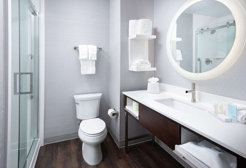 فندق Hampton Inn & Suites Atlanta  Decatur/emory