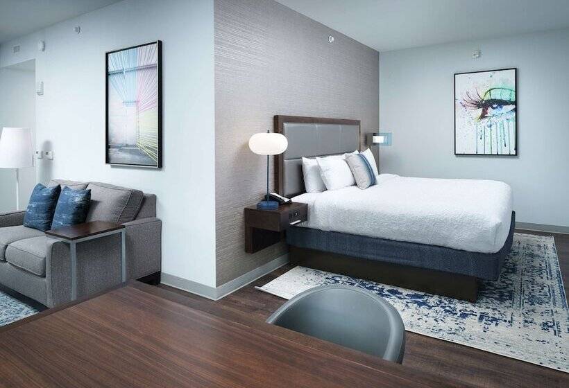 فندق Hampton Inn & Suites Atlanta  Decatur/emory