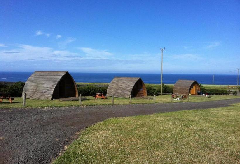 هتل Pot A Doodle Do