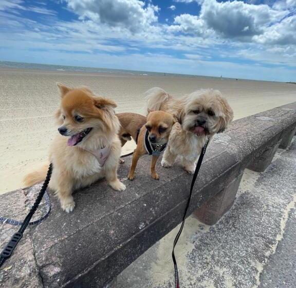 ペンション Bon Ami