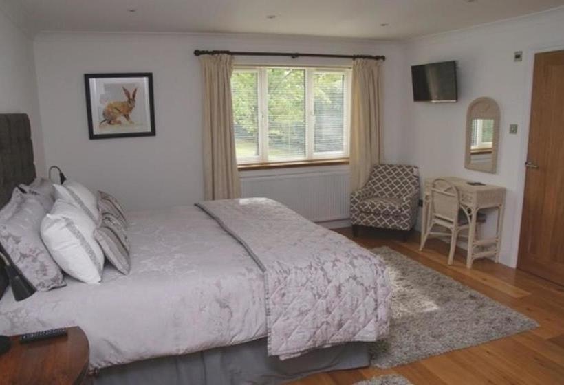 פנסיון Cherry Tree Guesthouse