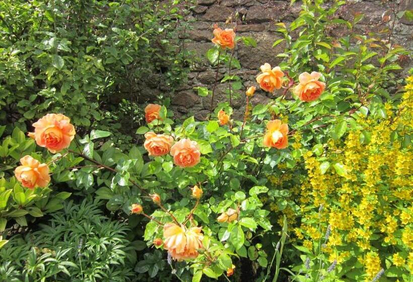 פנסיון Crawfords Guest House