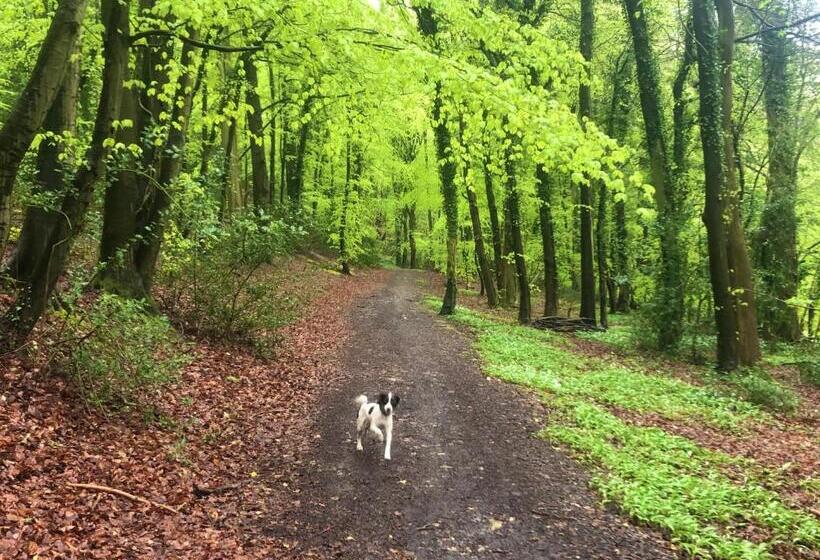 פנסיון Greencourt Loft   The Cotswold Way, Stroud
