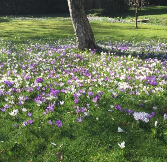 Пансион Kingswood Cottage