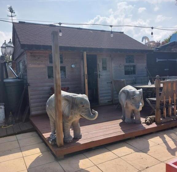 Pensione Nest Guesthouse