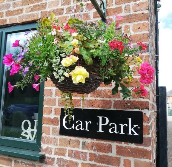 פנסיון Olive Tree Guest House