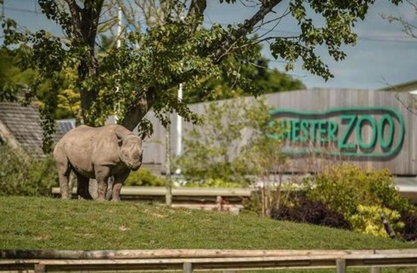 پانسیون Room@87