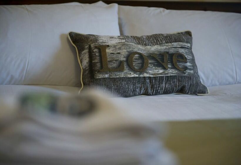 بنسيون Springfield Guesthouse