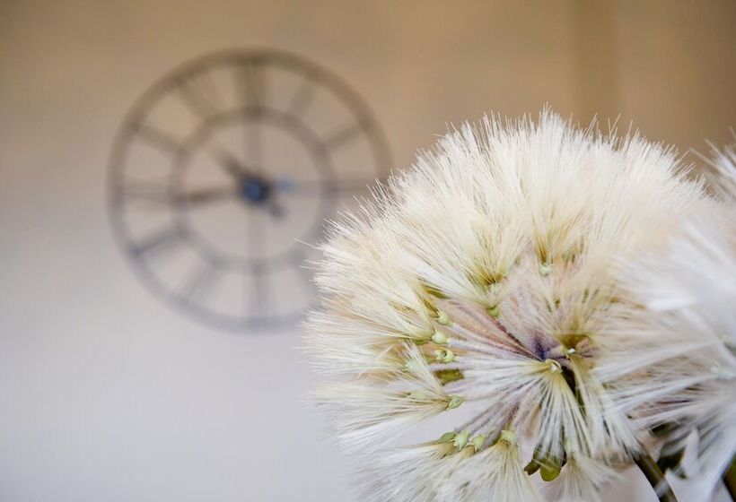 بنسيون Springfield Guesthouse