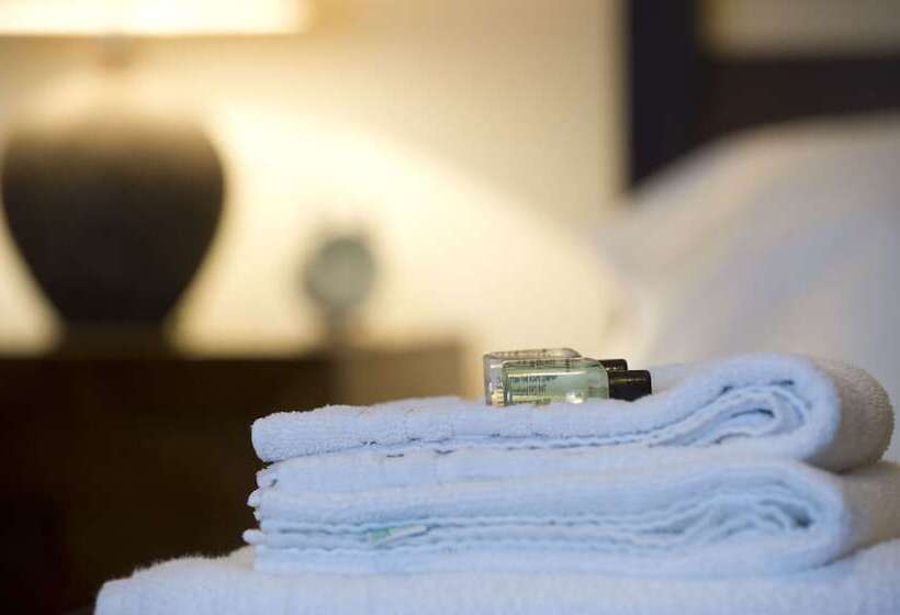 بنسيون Springfield Guesthouse