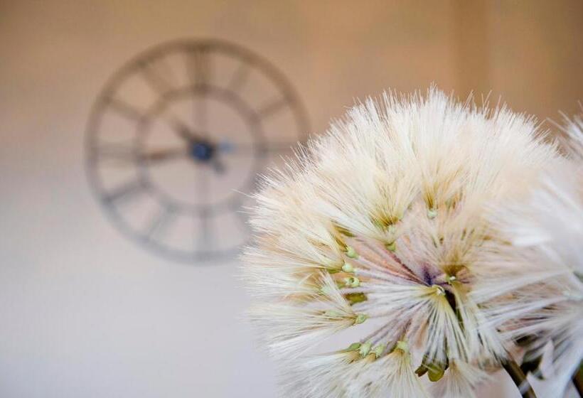 بنسيون Springfield Guesthouse