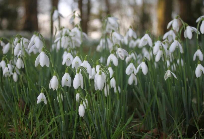 بنسيون Stables Guest House