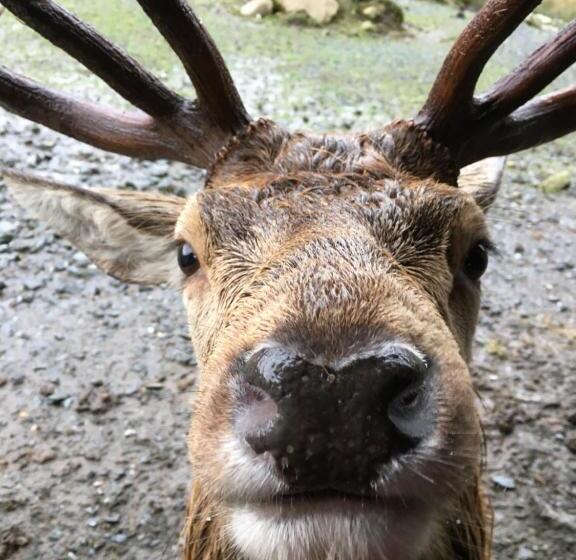 بنسيون Stables Guest House