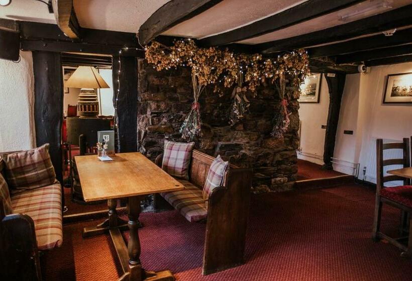 ユースホステル Bearslake Inn