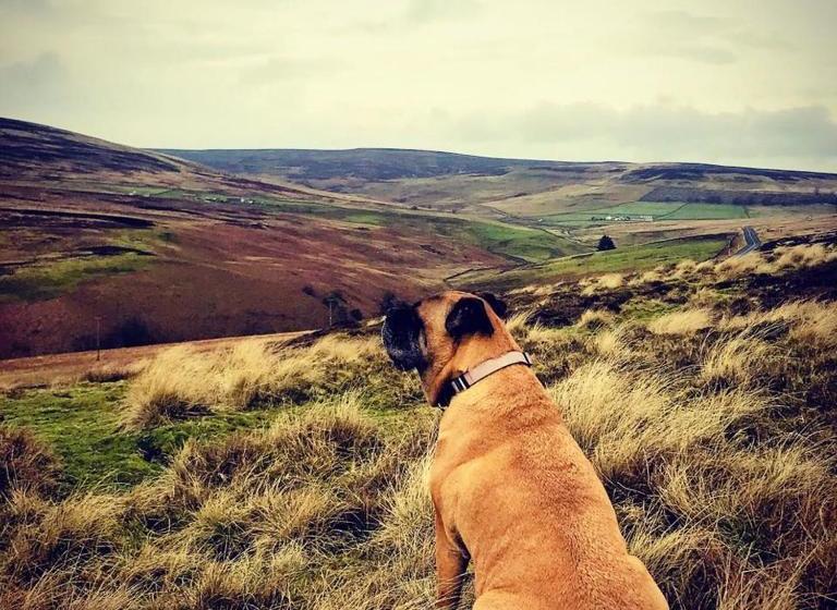 ユースホステル Micro Barn Mickleton Barnard Castle