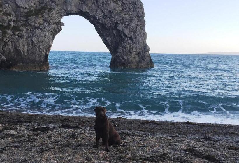 فندق صغير New Inn   Dorchester