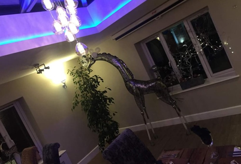 旅馆 The Anchor Inn