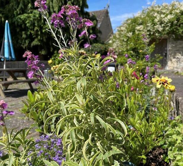 فندق صغير The Bell At Old Sodbury