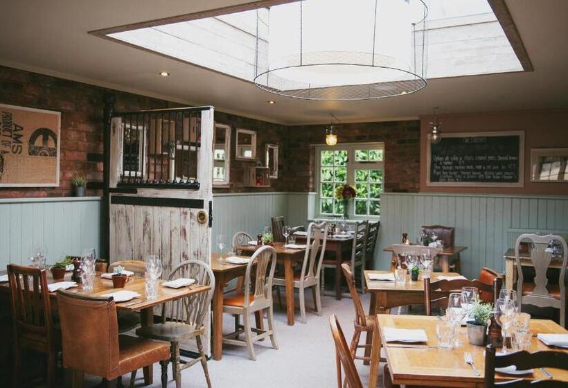 Общежитие The Bunk Inn