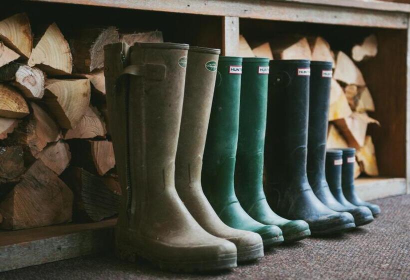 Общежитие The Bunk Inn