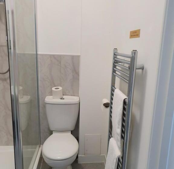 هاستل The Flowerpot