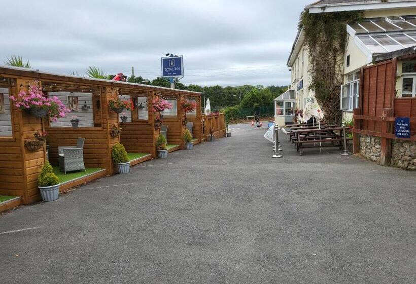 Общежитие The Royal Inn