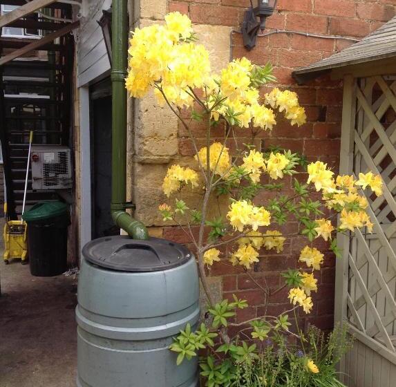 ユースホステル The Swan Inn