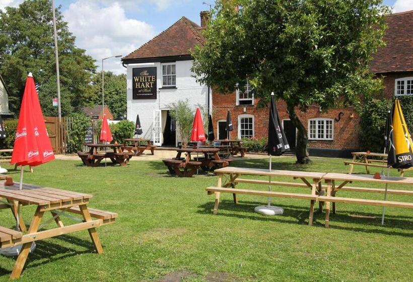 旅馆 The White Hart By Innkeeper S Collection