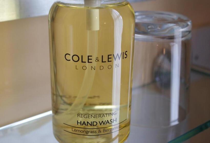 بنسيون Adelphi Guest House