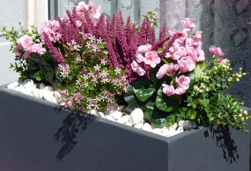 Пансион Apollo Guest House