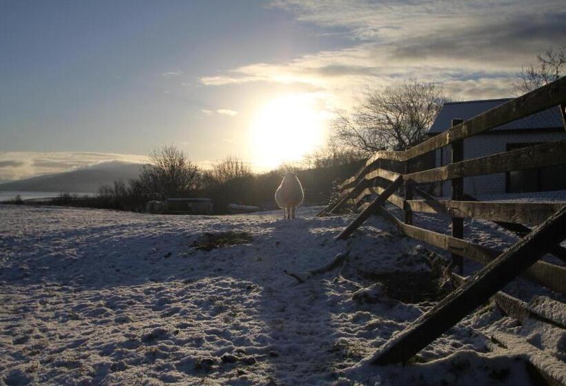 بنسيون Arle Lodge