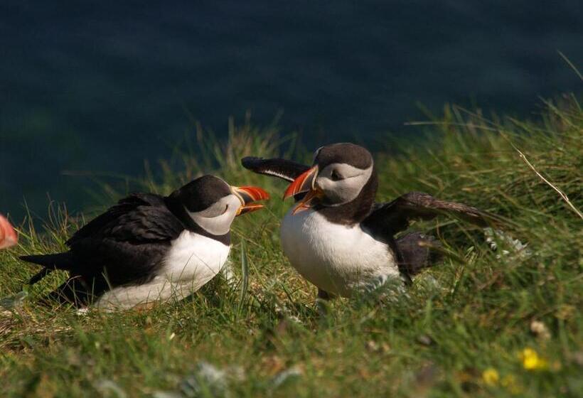 بنسيون Arle Lodge