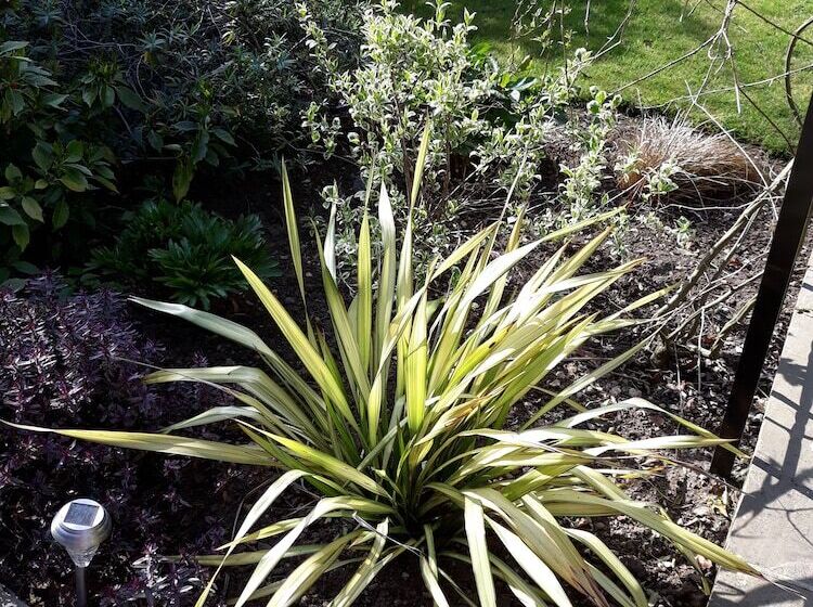 بنسيون Banbury Cross B&b