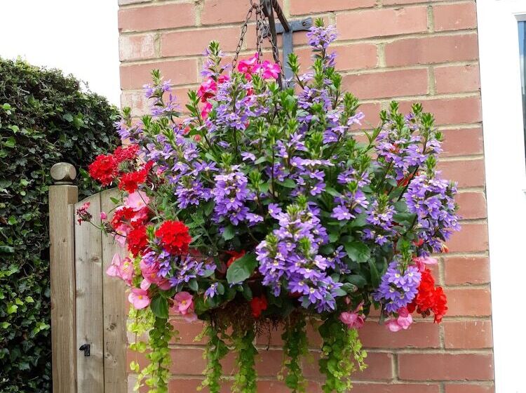 פנסיון Banbury Cross B&b