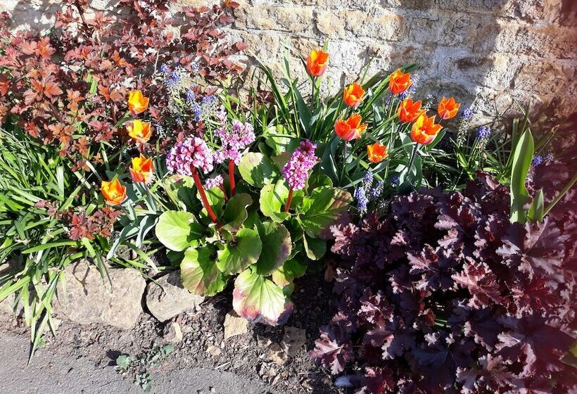 بنسيون Banbury Cross B&b