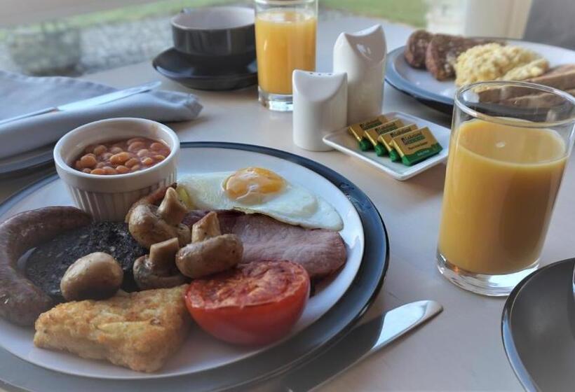 بنسيون Bluebird Lodge