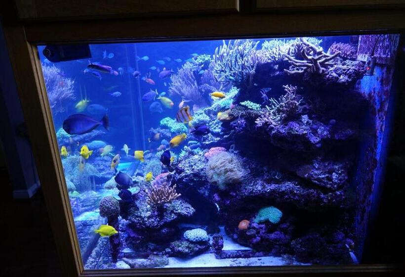 펜션 Borthwnog Hall