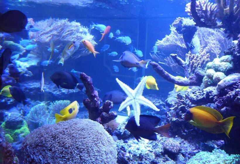 펜션 Borthwnog Hall