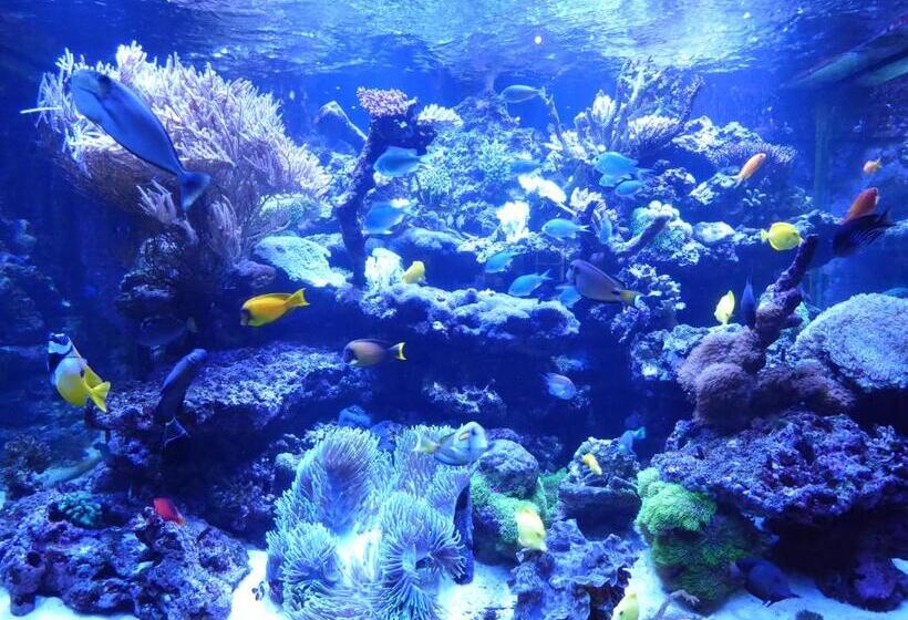 펜션 Borthwnog Hall