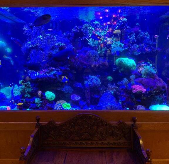 펜션 Borthwnog Hall