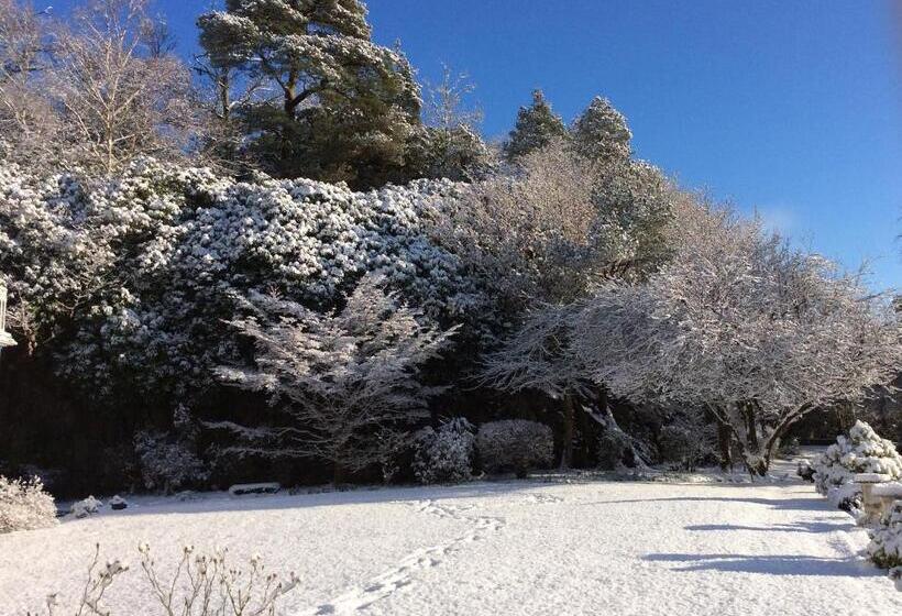 펜션 Borthwnog Hall