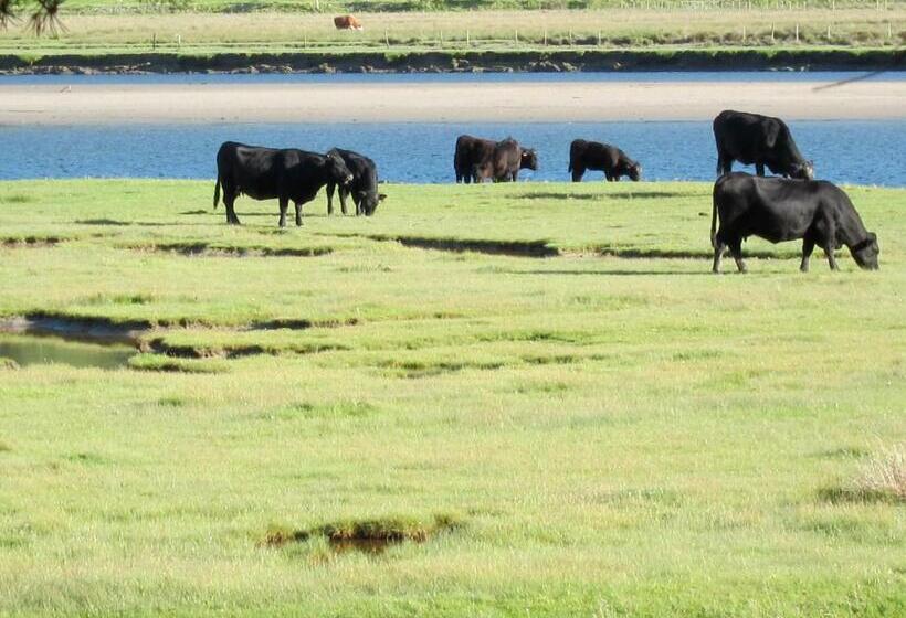 펜션 Borthwnog Hall