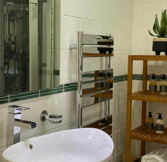 بنسيون Caemorgan Mansion