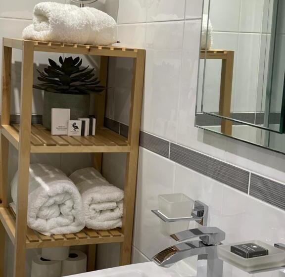 بنسيون Caemorgan Mansion